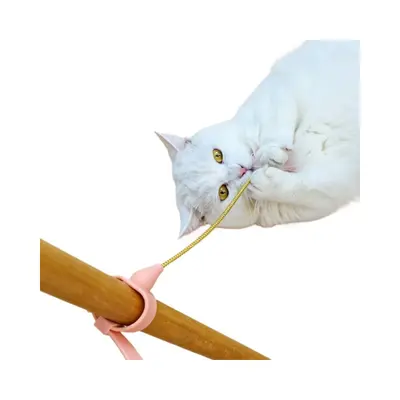 项圈逗猫棒羽毛款告别懒猫释放猫咪野性宠物玩具互动自嗨解闷逗猫
