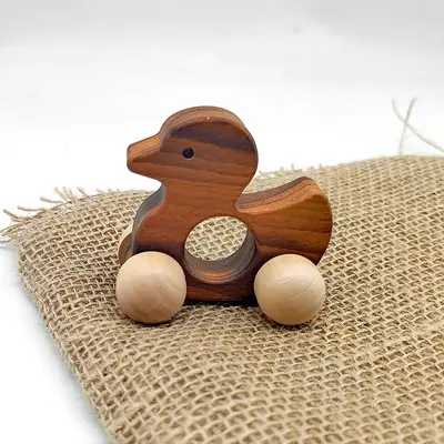 Solid Wood Push Toy with Natural Finish, Eco-Friendly Water-Based Paint, Safe for Baby Teething, Multiple Styles Available, Gift-Suitable - 10