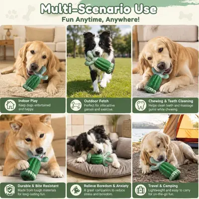 Squeaky Cactus Dog Toy, Durable Chew Molar Stick