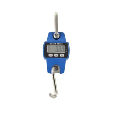 300kg precision electronic hanging scale