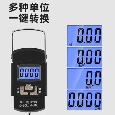 Portable mini spring scale for parcels and travel