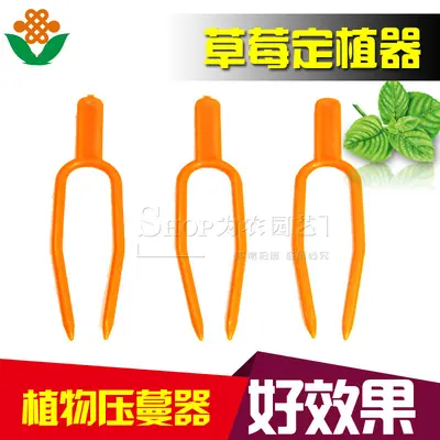 Strawberry Seedling Press Fork for Grafting and Greenhouse