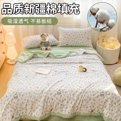 Klasse-A leichte frische Baumwollwäsche Bettdecke aus Xinjiang-Baumwolle für grenzüberschreitenden Handel, nicht ausverkauft, Sommerleichte Bettdecke, Einzelbett und Doppelbett, Klimaanlage-Bettdecke, Großhandel