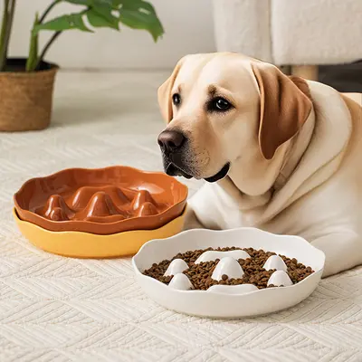 Köpek yavaş yemek kasesi, kaymaz ve devrilmez, orta ve büyük ırklar için