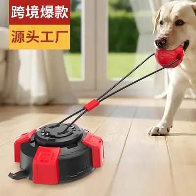 Dog Toothbrush and Chew Toy with Suction Cup and Rope