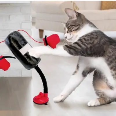 Multifunctional Cat Boxing Toy Interactive Game - 3