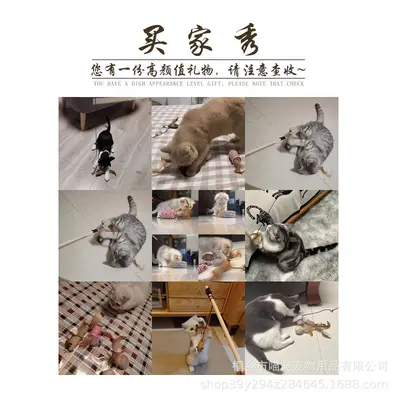 Cat Toy Gift Box Set, 7 Pieces, Mouse and Teaser Wand - 4