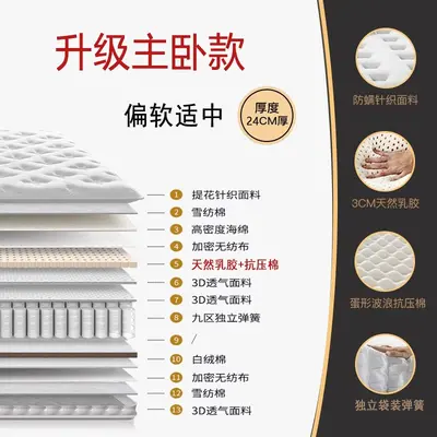 Five-Star Hotel Style Latex Memory Foam Pocket Spring Mattress - 8