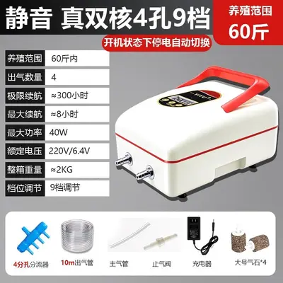 Rechargeable Outdoor Oxygen Pump, Lithium Battery, AC/DC - 2