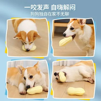 Squeaky Peanut Dog Chew Toy, Durable, for Corgi and French Bulldog - 4