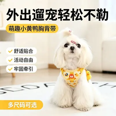 Small Dog Vest-Style Harness with Walking Leash - 3