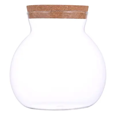 High Borosilicate Glass Hydroponic Plant Bottle, Desktop Vase and Betta Tank - 6
