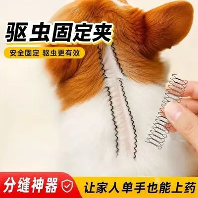 Köpekler için tüy ayırma klipsi, ilaç uygulamasını kolaylaştırır