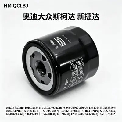Oil Filter Element for Volkswagen, Audi and Skoda Cars