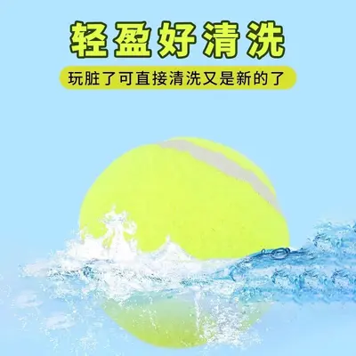 Tenis Topu Köpek Oyuncağı, Elastik Rebound Top, Dış Mekan Eğitim Topu