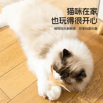 New Cat Self-Play Boredom Relief Cat Teaser Toy Creative Cat Toy Kitten Interactive Feather Ball Toy Supplies