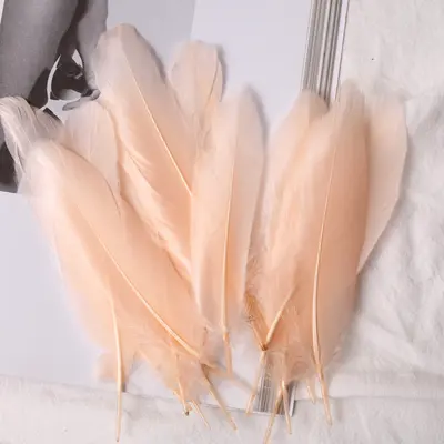 White Goose Feathers, Kindergarten Craft and DIY Jewelry Material - 9