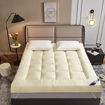 Dormitory Thick Mattress Non-Slip Pad 3D Mattress Double Futon Thick Tatami Mattress Soft Mattress Wholesale - 11