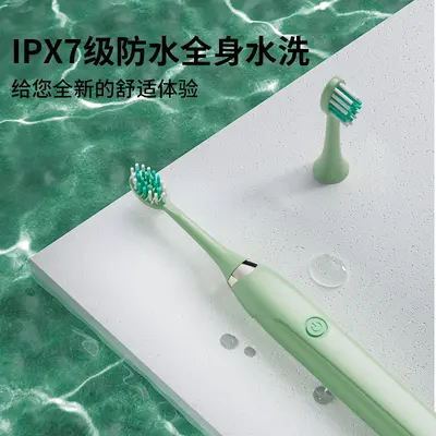 Home Vibrating Toothbrush with Water Flosser, Rechargeable, Adult Ultrasonic