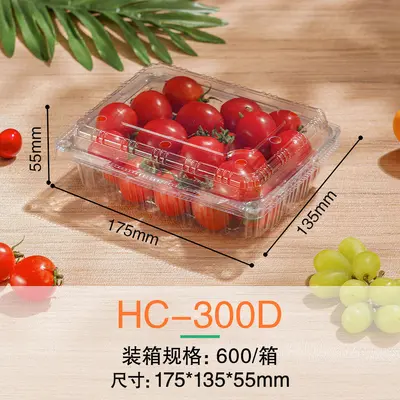 Einweg-Obst-Verpackungsbox mit Deckel, Frischgemüse-Kunststoffverpackungsbox, PET-Lebensmittelqualität, transparente Obstschnittbox - 9