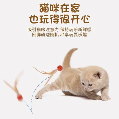 Feather Elastic Ball Cat Toy, Interactive Cat Teaser - 5