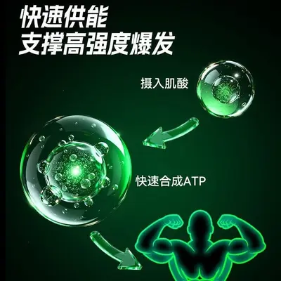 训练怪兽肌酸一水锌镁肌酸粉耐力爆发力运动健身补剂旗舰店