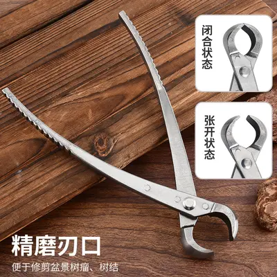 Bonsai Pruning Shear Set, Diagonal Pliers, 6 Pieces