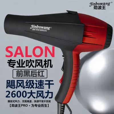 Jinbo Wang 9930 Professional Hair Dryer, Blue Light, Negative Ion - 10