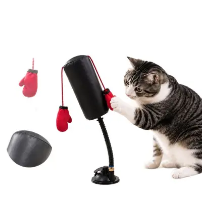 Kedi boks eldiveni oyuncağı, vantuzlu kum torbalı direk, kendi kendine eğlenme - 5