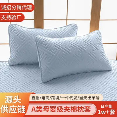 Pillow Cover 48x74cm, Anti-Sweat and Anti-Drool, Quilted, 2-Pack