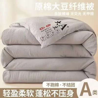 Class A Raw Cotton Soybean Fiber Thickened Quilt Core Spring Autumn Winter Cotton Quilt Student Dormitory Winter Quilt Gift Wholesale - 8