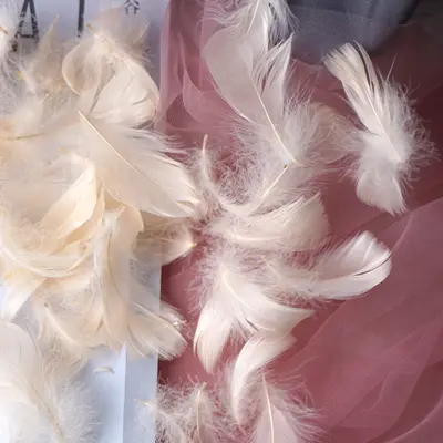 Colored Small Goose Feathers as Gift Box Filling Material - 12