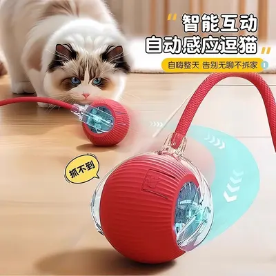 Automatischer Katzenspielball, selbstbeschäftigend, interaktiv rollend - 3