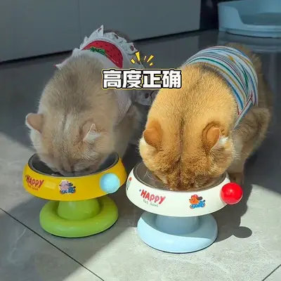 Sınır Ötesi Paslanmaz Çelik Kedi Kasesi Kaymaz Dopamin Renk Kombinasyonu Yüksek Ayaklı Beslenme Cihazı Kedi Kasesi Köpek Yalağı Kedi Kasesi Köpek Yalağı Pet Kasesi