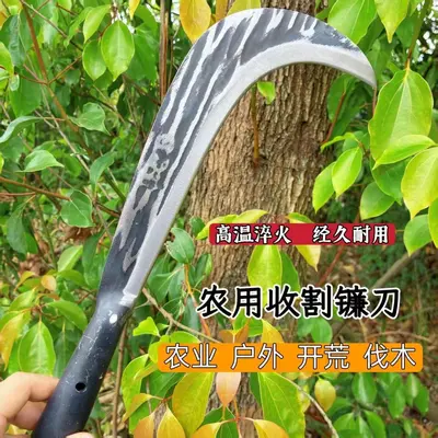 Einteilige Sichel aus Vollstahl, 8 Liang, Federstahl, Hammerschlag-Muster