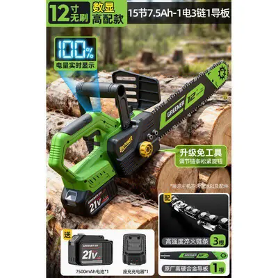 Lvlin Rechargeable Electric Chainsaw High-Capacity Lithium Battery - 13