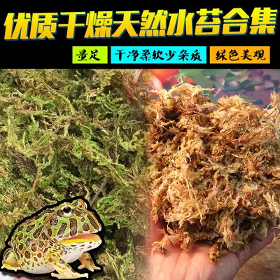 Natürliche Reptilienmatte mit Süßwassermoos zur Befeuchtung, 200g