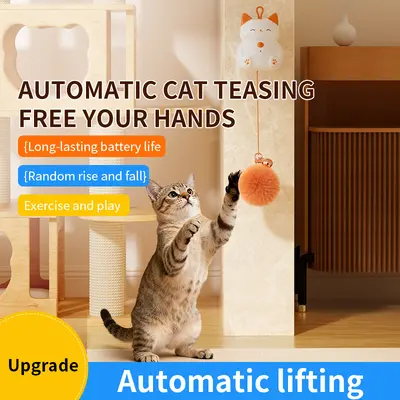 Lucky-Cat-Hebeball mit elektrischem Katzenangel-Spielstab
