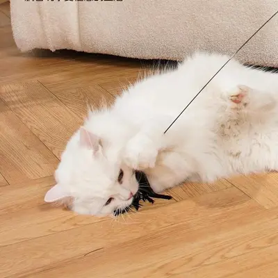 吸盘长杆弹簧钢丝羽毛逗猫棒猫咪自嗨解闷玩具家用耐抓耐磨宠物品