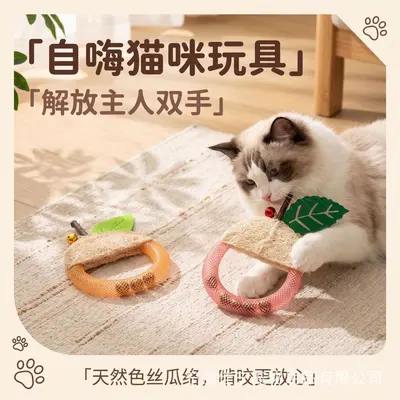 天然丝瓜络猫啃咬玩具木天蓼虫瘿果洁齿磨牙水果造型自嗨解闷用品