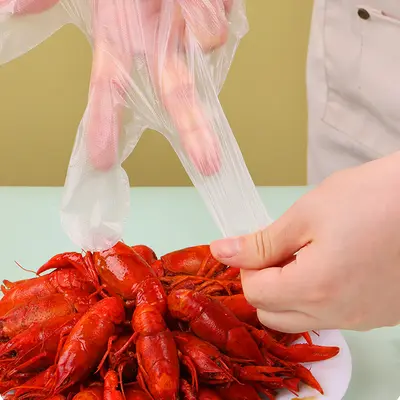 Individually Packed Disposable Transparent Plastic Gloves, Food-Grade