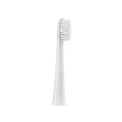 Replacement Brush Heads for Panasonic doltz Electric Toothbrush, DM71/EW-DC01/DC12/ewdc12
