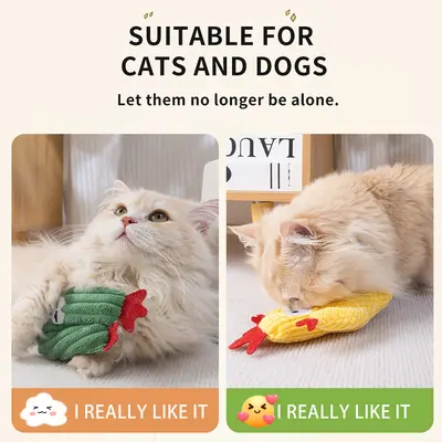Yeni Model Kedi Çiğneme Oyuncağı Diş Temizleyici Kedi Yastığı Kaktüs Serisi Kedi Nanesi Kedi Oyuncağı Kendi Kendine Eğlenme Sıkıntı Giderici