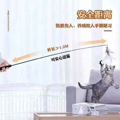 Retractable Cat Teaser Wand with Feather Replacement Heads and Bell, for Kittens - 3
