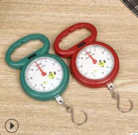 Mini portable electronic handheld scale with hook - 10