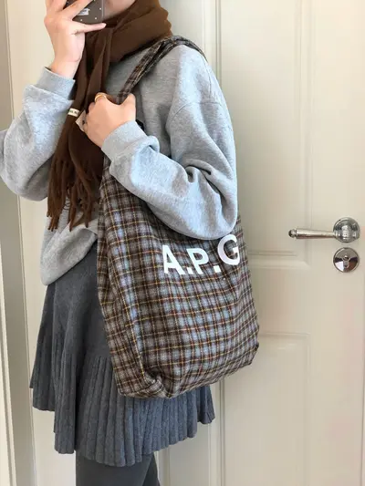 Plaid Women's Shoulder Bag, Korean Style, Winter - 5