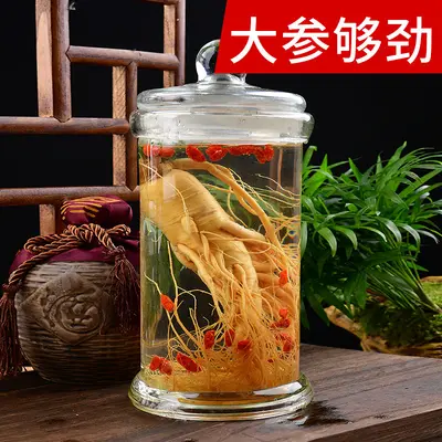 Frischer Changbai-Ginseng, nordostchinesische Spezialität, zum Ansetzen in Alkohol - 5