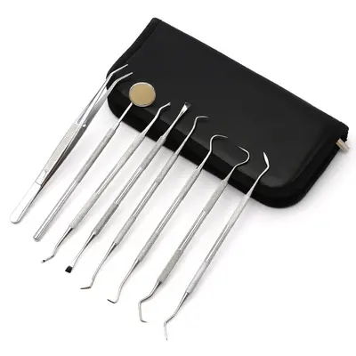 Stainless steel dental cleaning and tartar removal tool kit
