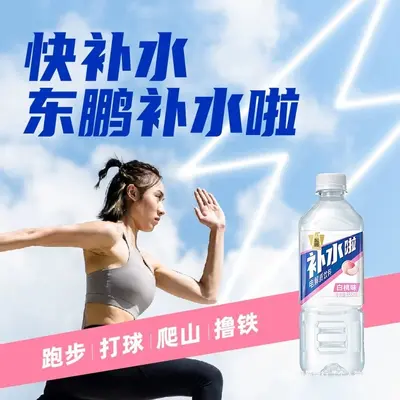 Dongpeng Electrolyte Drink Lemon Flavor 555ml x 24 Bottles - 4