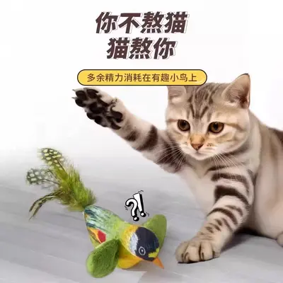 Gerçekçi Ötmeli Kuş Tüylü Kedi Oltası, Yavru Kediler İçin Dayanıklı Oyuncak